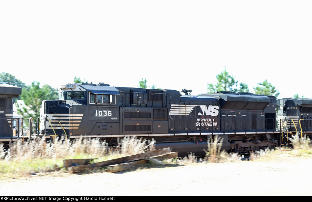 NS 1036